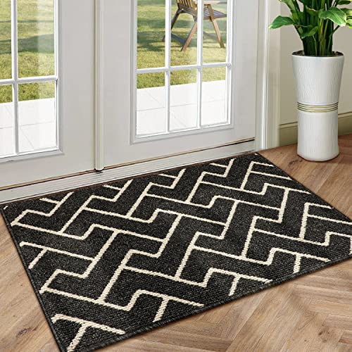 Biscpro Tapis de Porte Intérieur,Tapis Avant Arrière en Antidérapant,24'x35' Absorbant et Résistant à la Saleté, Paillasson d'entrée à l'intérieur, Tapis de Sol pour Entrée Lavable en Machine