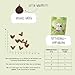 VEGDOG Veggies Skincare hypoallergener Hundesnack (10 x 125 g) | Trainingssnack für Fell und Haut | Proteinsnack für Allergiker mit Kastanie und Hanf