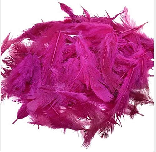 Stylewell Natural Dyed Pink Multi-Purpose Craft Feathers (Approximately 80pc) for Dream Catcher Artificial Jewelry Making Art & Craftworks s DIY Hobby Crafts Kids Projectworks Scrapbooking
