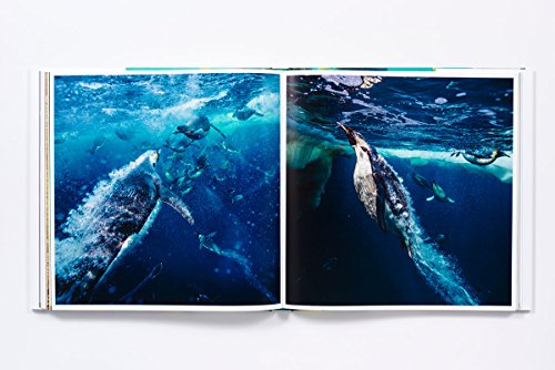 The Life & Love Of The Sea #TOP7