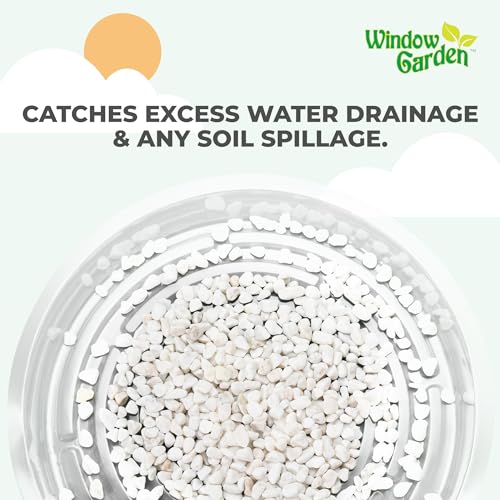 Window Garden 12\" Plant Saucer - Plastic Plant Trays for Indoor and Outdoor - Clear Flower Pot Drip Trays - Drainage Base - Water Tray for Pots Indoors - Planter Saucers for Potted Plants - Set of 6
