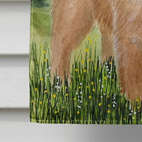 Chow Chow Flag pavillon en toile grand format multicolor pour décoration de jardin extérieure - 5