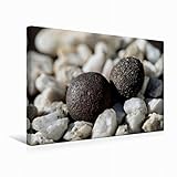 Qualité d'image HD : qualité fax mille sur toile spéciale. Le tissu d'impression utilisé est une toile synthétique spécialement fabriquée pour nous, particulièrement finement tissée et indéformable. L'impression par sublimation thermique convainc par sa durabilité, sa résistance à l'abrasion, sa résistance à la lumière, sa résolution et sa brillance des couleurs