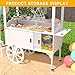 GDLF Candy Cart for Party - Cake Stand - Dessert Cart with Wheels & Storage Cabinet for Wedding, Baby Shower, Birthday & Party Decor