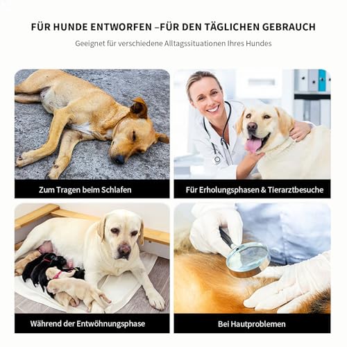 InfiniZer Hundebody Nach Op Medizinischer Body für Hunde Kastration Hündin Rüde Operationsbody Hund Body Nach Op Body Hund Shirt Leckschutz Wundschutzanzug für Hunde Einteiler Schlafanzug (Grau, XS)