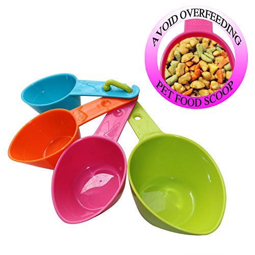 Best Scoop For Food