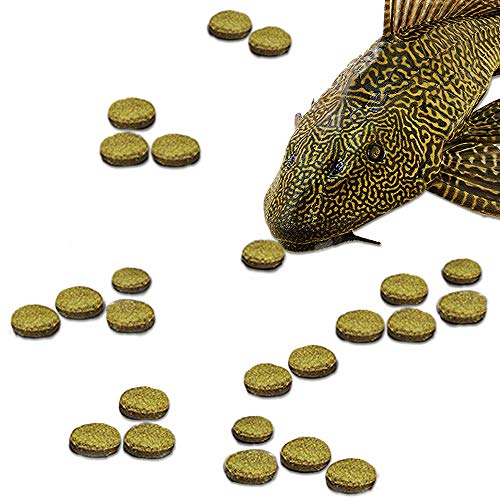 JOR Pleco Treats, Disc-Shaped Supplement Bottom Feeders, Strengthens Overall Development, Supports Better Digestion, 2.8 oz. per Pack