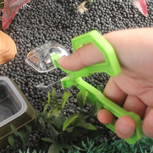 Alimentador de grilos para répteis, pinças de alimentação de cobras,Ferramenta de manuseio de clipes