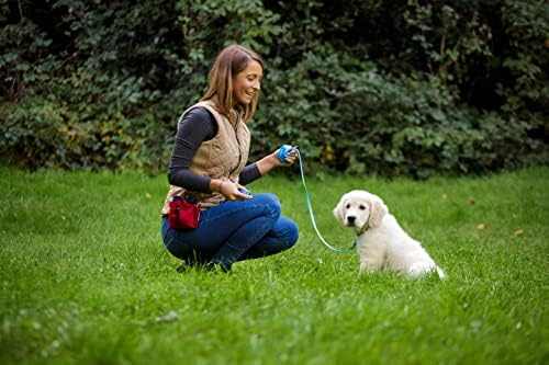 COMPANY OF ANIMALS Treat Bag, Black, Zipped Pockets & Drawstring, Clips on Belt, Waistband or Pocket, Waterproof Treats Pouch, Ideal for Dog Walking & Puppy Training, Available in Purple, Red & Black