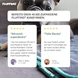 FLUFFINO® Hundedecke/Wendedecke - Hochwertig, flauschig weiche & robuste Oberseite (150x100 cm, 40°C waschbar, Grau) Kuscheldecke/Liegedecke für große und kleine Hunde - Sofadecke