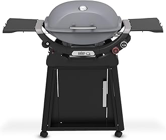 Q 2800N+ Liquid Propane Grill with Stand, Smoke Grey