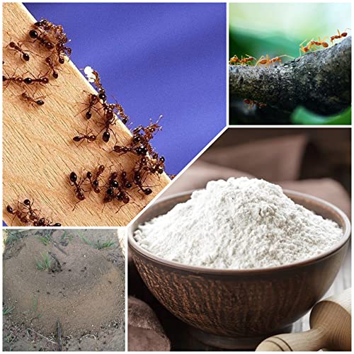 Image of Cherry online store Chimala Mandu /Gamazine Powder /Ant Killer /చిమల మందు (500)