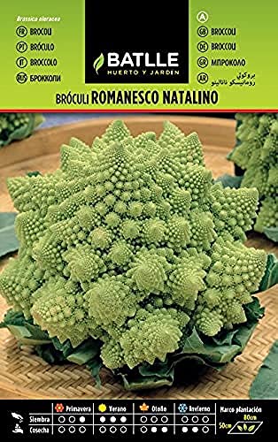 Semillas hortícolas de Batlle - Bróculi Romanesco Natalino (4g)