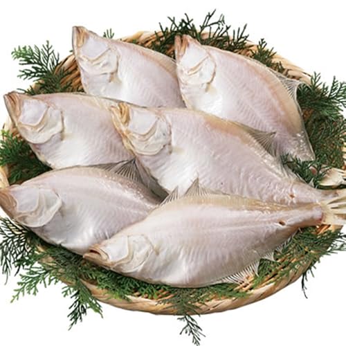 GeJC 銱 6Zbg JC JC ꂢ  Mtg RA {CY