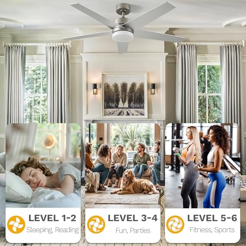 DWVO Ceiling Fans with Lights and Remote, 52 inch Silver Ceiling Fan with Reversible Quiet DC Motor, 3CCT Lighting,6 Speed, 5 Blade Fan for Bedroom Living Room