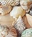Polished Sea Shells – Sizes 2.25” to 4” - Approx. 15 Beach Shells in Mixed Colors – Great for Beach Home Decor and Wedding Centerpieces
