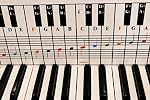 QMG Piano & Keyboard Note Chart – Visual Reference Guide – Easy Setup – Fits Medium to Full Size Pianos – Covers Four Octaves – Designed & Printed in USA