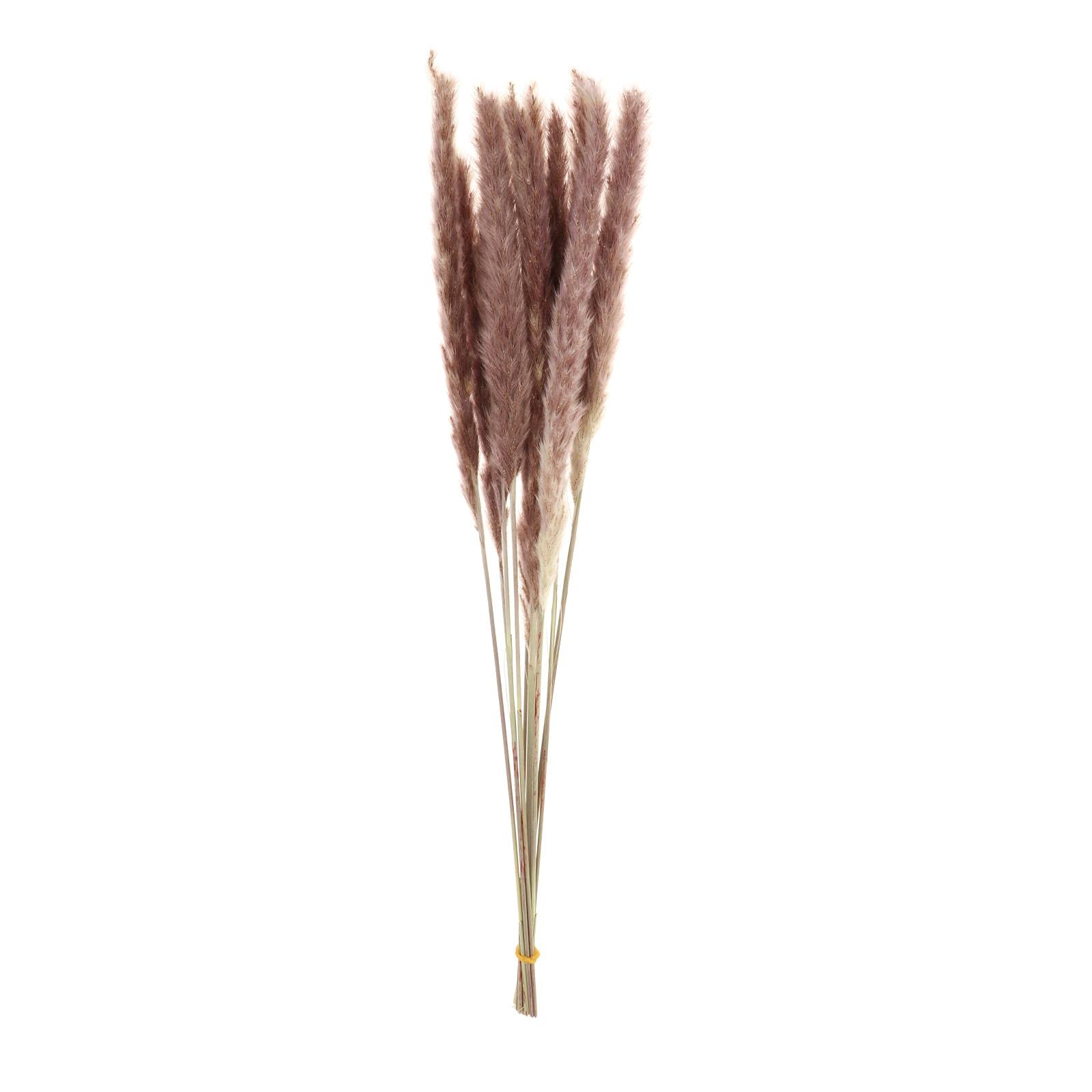 Guirlande Artificielle Plantes Fleurs，70pcs Bouquet d'herbe De Pampa Sèche Ferme Décoration De La Maison Accessoires De Photographie