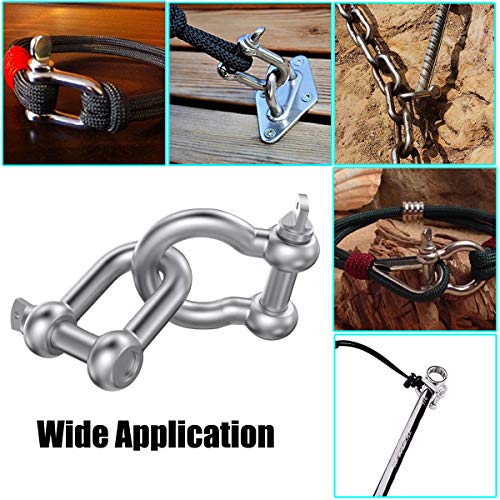 Smtung 304 Stainless Steel D Shape Load Shackle For Camping, Hiking And Other Outdoor Sports 4Mm 6Mm 8Mm 10Mm 14Mm (1/4"(6Mm)-4Pcs) #TOP4