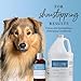 iGroom Deshedding & Detangling Dog Shampoo, Luxury Pet Beauty Care, Loosen Tangles + Unwanted Undercoat, Adds Shine + Volume, Made in USA (1 GAL)