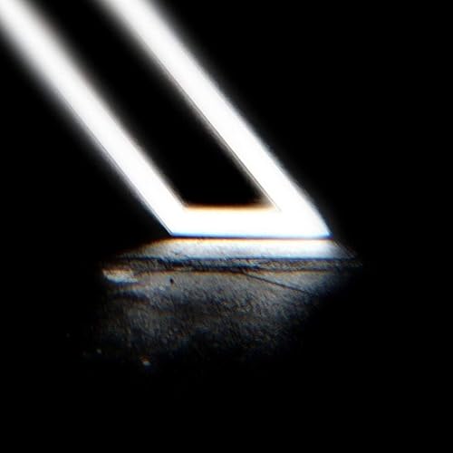 TSAR - AFTERLIFE (KOOOZ REOOO)