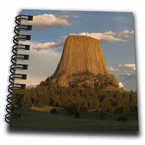 3dRose uAJACI~OAfrY^[LO󌺕~jA4C` x 4C`AB