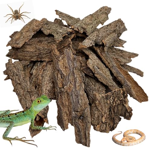 Apatal Reptile Cork Bark Bulk 2 Lb Cork Wood for Terrarium Natural Flat Cork Bedding Terrarium Substrate for Bearded Dragon Snake Spiders Hermit Crabs Geckos Tortoise
