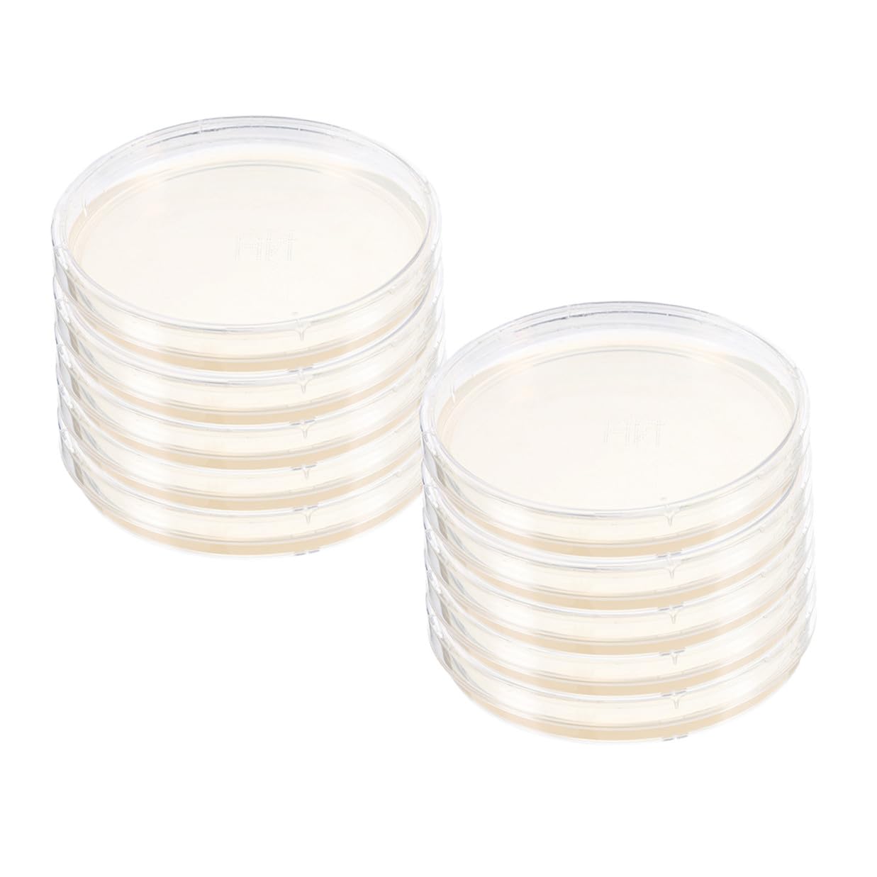 10pcs Nutrient Agar Plates 6cm Microbiology Petri Dishes Pre-Poured Agar for Laboratory Cell Specimen Storage