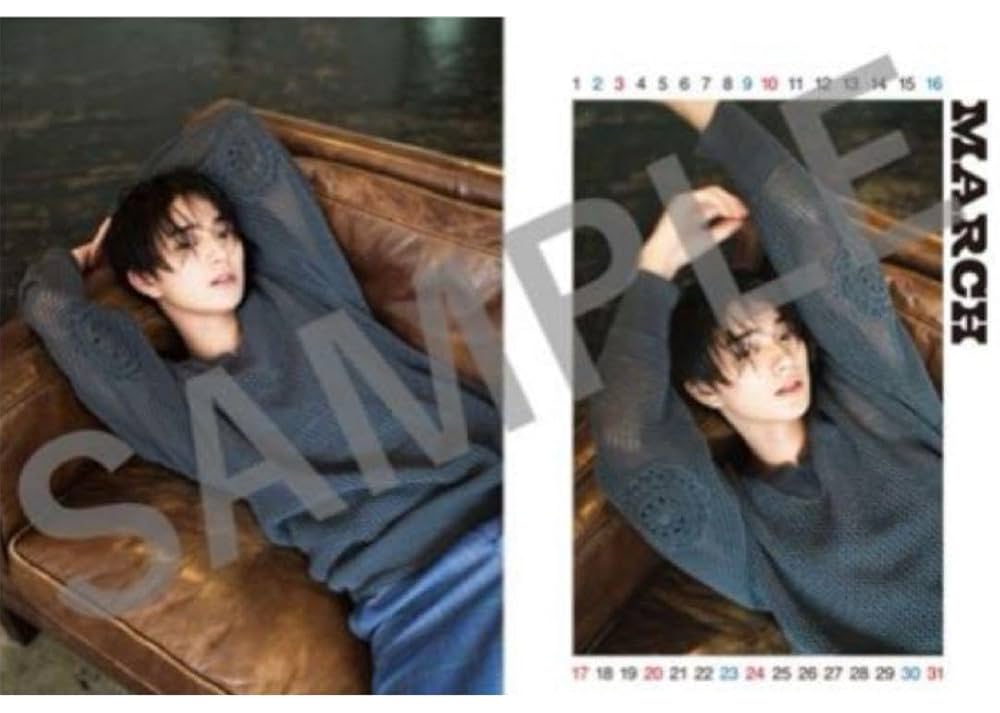 岩瀬洋志 カレンダー 3冊券 特典 岩瀬洋志 カレンダー 3冊券 特典 7254-937-