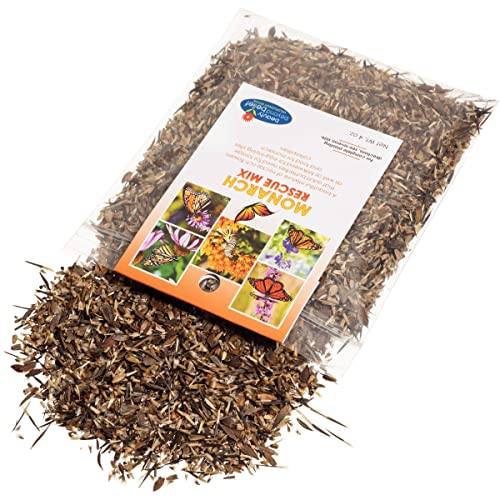 Monarch Butterfly Rescue Wildflower Seeds 4Oz. Bulk Open-Pollinated Wildflower Seed Packet, No Fillers, Annual, Perennial Milkweed Seeds For Monarch Butterfly #TOP1