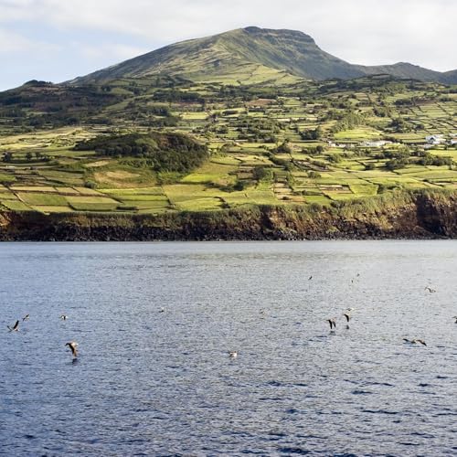 Les A&ccedil;ores