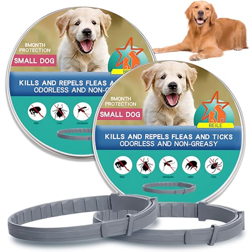 Mascotas, VKUJDT 2PCS Collar para Perro, Collar Impermeable,Collar para Perro Grande, Collar para Perro Chico, Cuello Ajustable, Collar para Gatos (Dos tamaños...