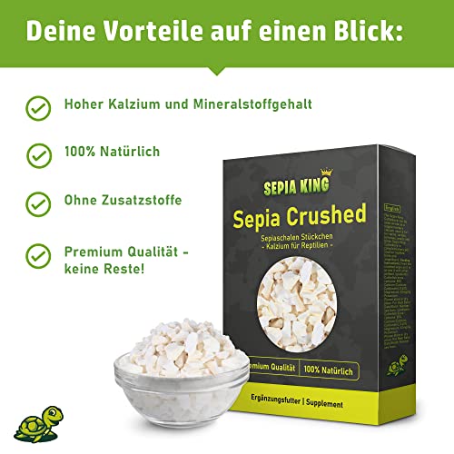 Sepia King - Sepiaschalen Bruch in Premium Qualität - Kalzium für Schildkröten, Bartagame, Geckos, Reptilien - Futterkalk, Kalk Terrarium Zubehör - Keine Reste oder Abfall