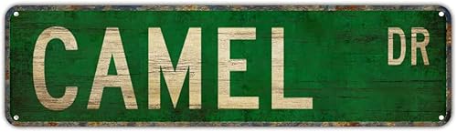 Letreros de metal con texto en inglés "CAMEL DR", letreros de metal divertidos con texto en inglés "Camel Dr", letrero de metal retro retro para