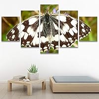 SIGNWIN 5 Panel Canvas Wall Art Open Wings for Home Decorations Ready to Hang - 60
