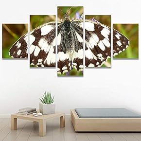 SIGNWIN 5 Panel Canvas Wall Art Open Wings...