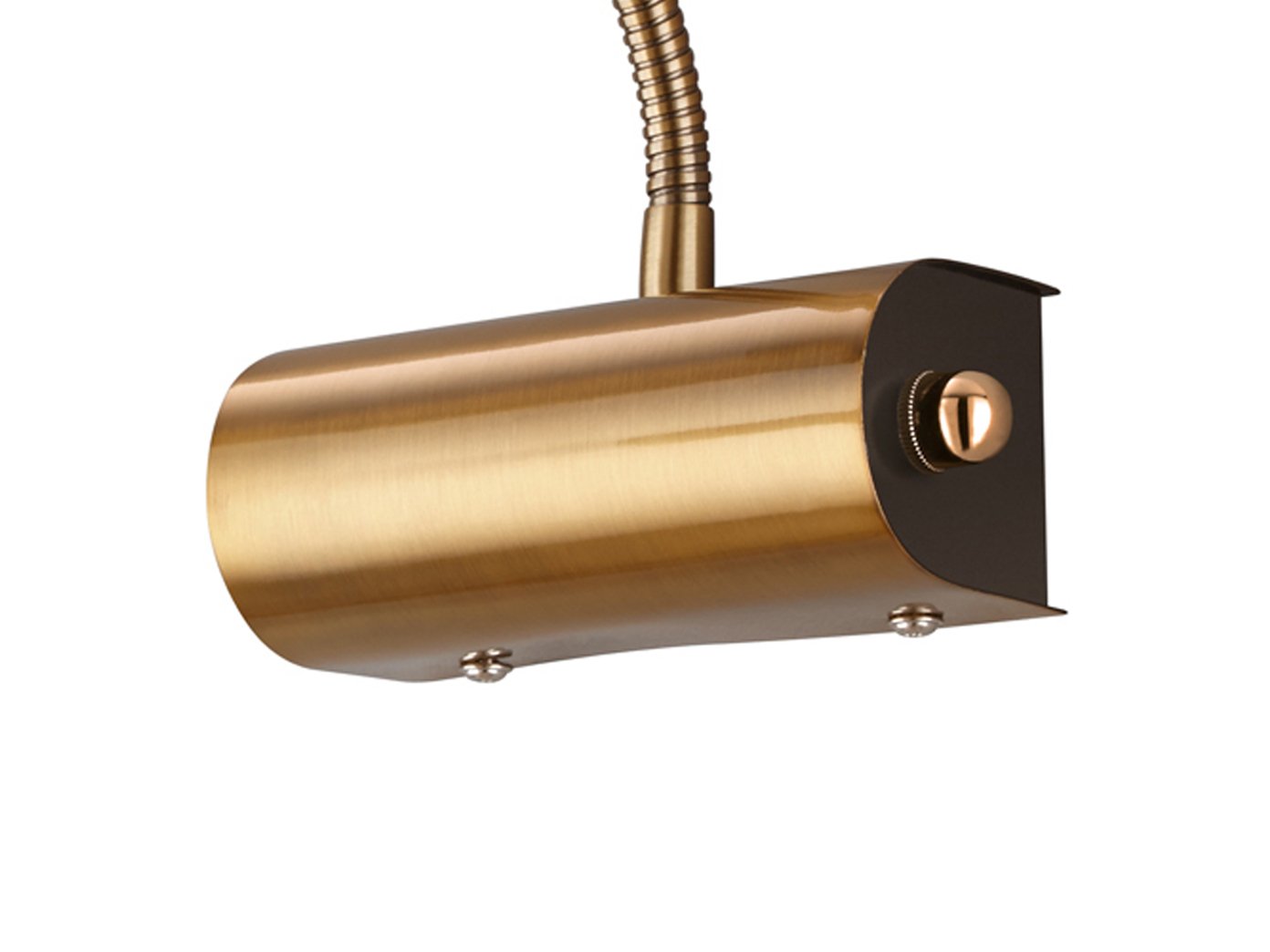 2 lampes modernes à LED - Idéales pour l'éclairage de tableaux - Avec bras flexible en laiton vieilli - Intensité variable via variateur rotatif
