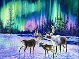 DIY 5D Diamond Painting Kits Deer and Northern Lights Full Drill Round Diamonds Embroidery Cross Sti