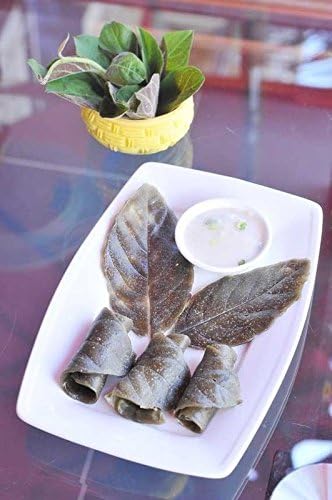 Lá m? tam th? - Paederia foetida L. - 1 Feet Long - Ship in 3" Tall Pot