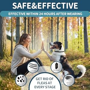 Fleacollarfordogs4packdogfleaandtickcollar32monthsfleaandticktreatmentcollarfordogwaterproofadjustabledogfleaandtickpreventionforsmallmediumlargedogpuppyblack Urban Country Home Decor Flea collar for dogs 4 pack dog flea and tick collar 32 months flea and tick treatment collar for dog waterproof adjustable dog flea and tick prevention for small medium large dog puppy black urban country home decor