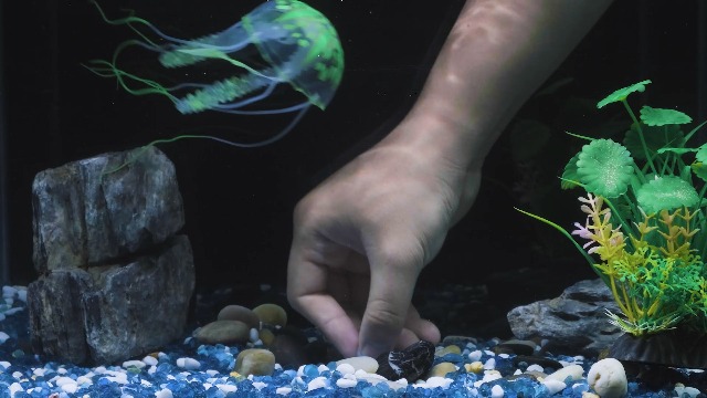 Amazon | Pawfly 6個のカラークラゲ装飾、発光効果を持つ水族館装飾を