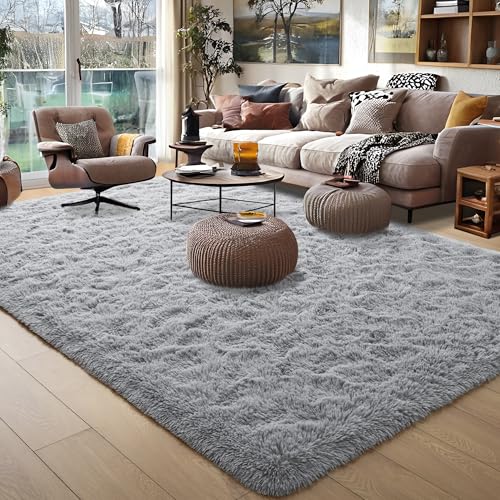 Foxmas 5x8 Plush Shaggy Rug for Living Room & Bedroom