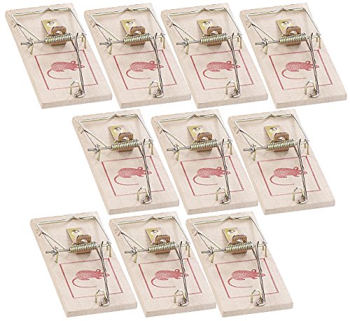 Preisvergleich Produktbild Exbuster Klassische Holz-Mausefalle mit Metallbügel, wiederverwendbar, 10er-Set
