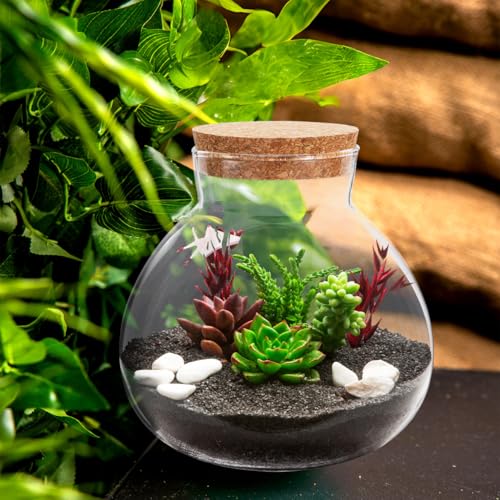 Terrario de cristal redondo de 15 cm para decorar mesas con helechos de interior 7