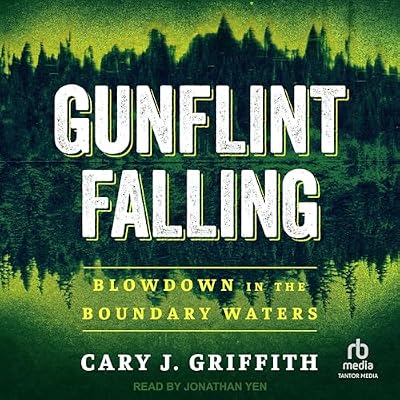 Gunflint Falling