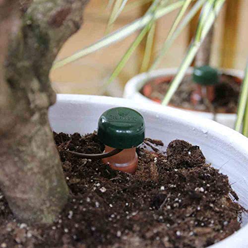 Blumat Wasserspender für Zimmerpflanzen, 6 Stück im Beutel