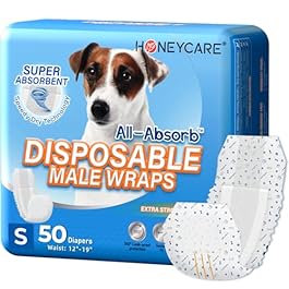 HONEY CARE All-Absorb...