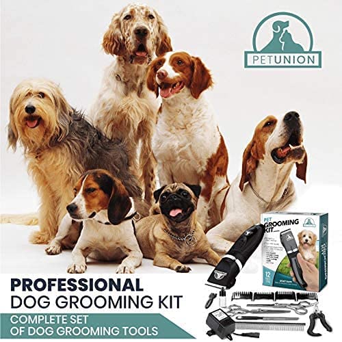 Pet Union Professional Grooming Kit - Rechargeable, Cordless Pet Grooming Clippers & Accessories, Low Noise, Suitable for Dogs, Cats and Other Pets (Grey) - Image 3