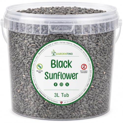 Premium Black Sunflower Seed Wild Bird Food 3L Tub