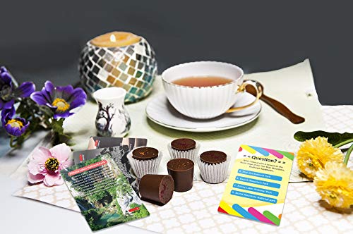 Cartas Trivia Parque Nacional Creanoso (2 baralhos) – Jogos temáticos para festas – meias para decor